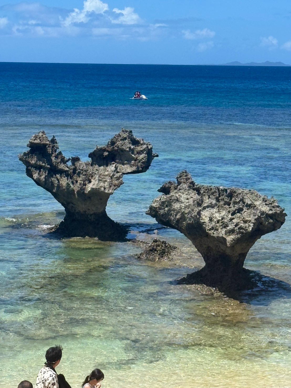 🌻Rush up夏休み🌻