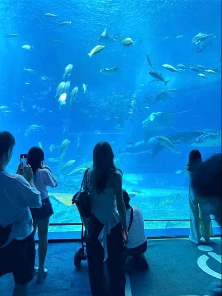 🌻Rush up夏休み🌻