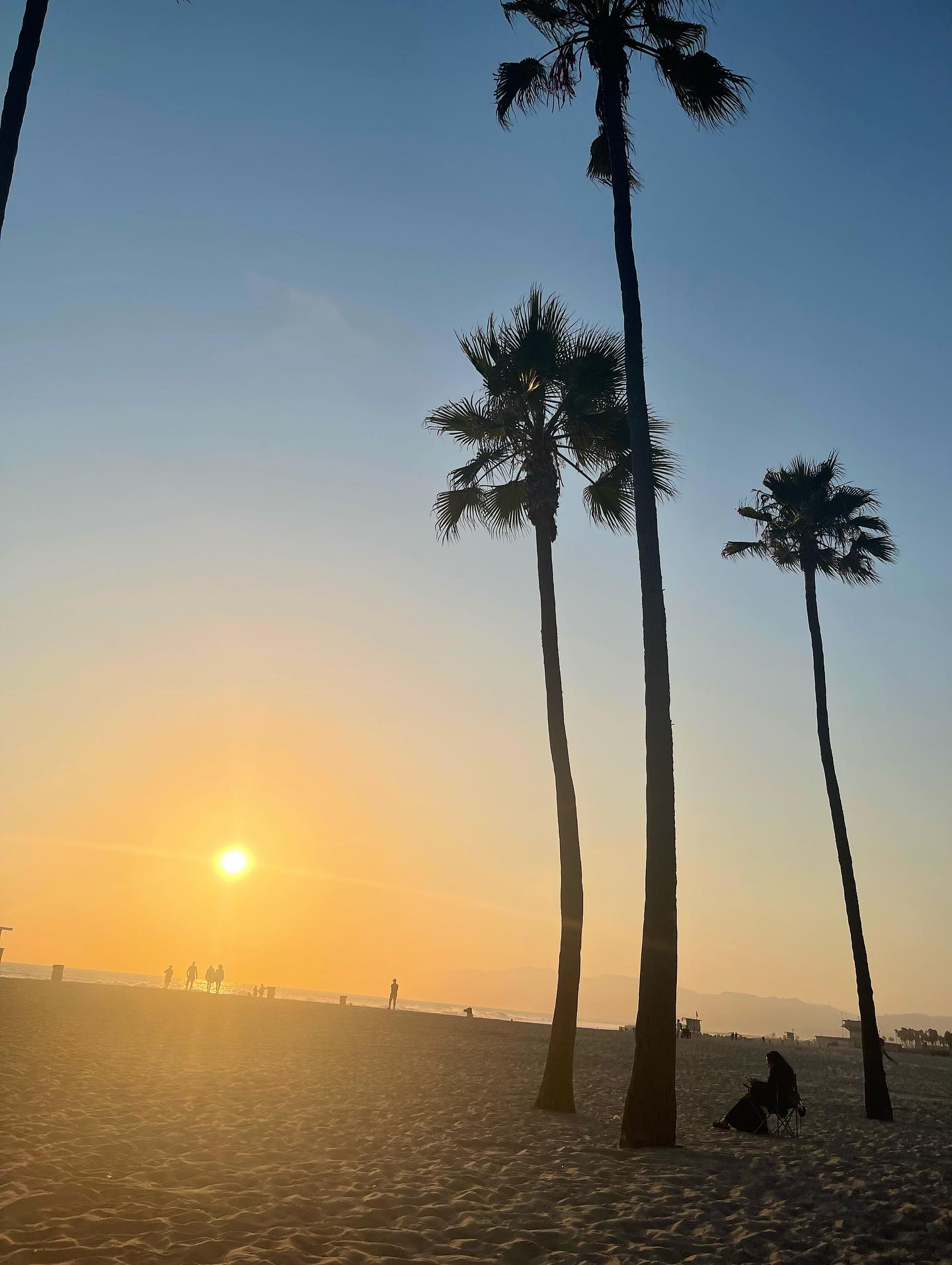 🌻Rush up夏休み🌻