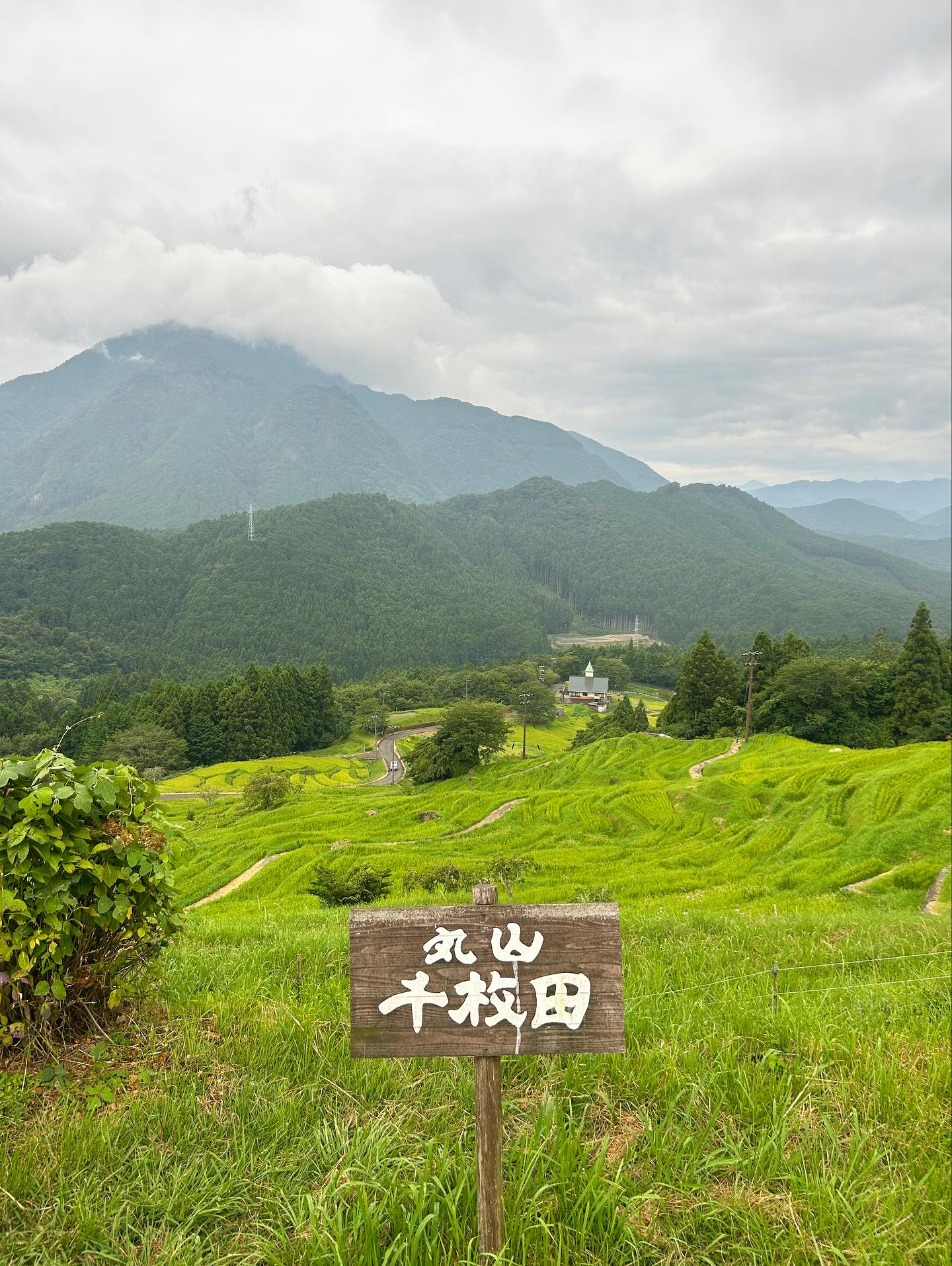 🌻Rush up夏休み🌻