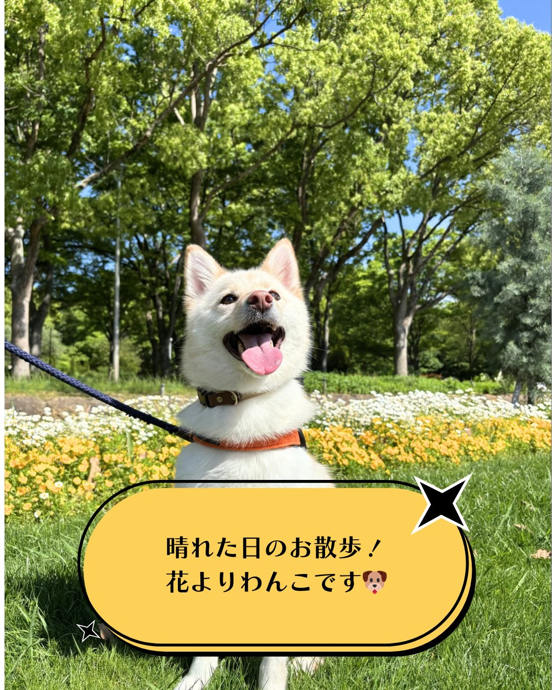 📸✨GWフォト vol.1✨📸