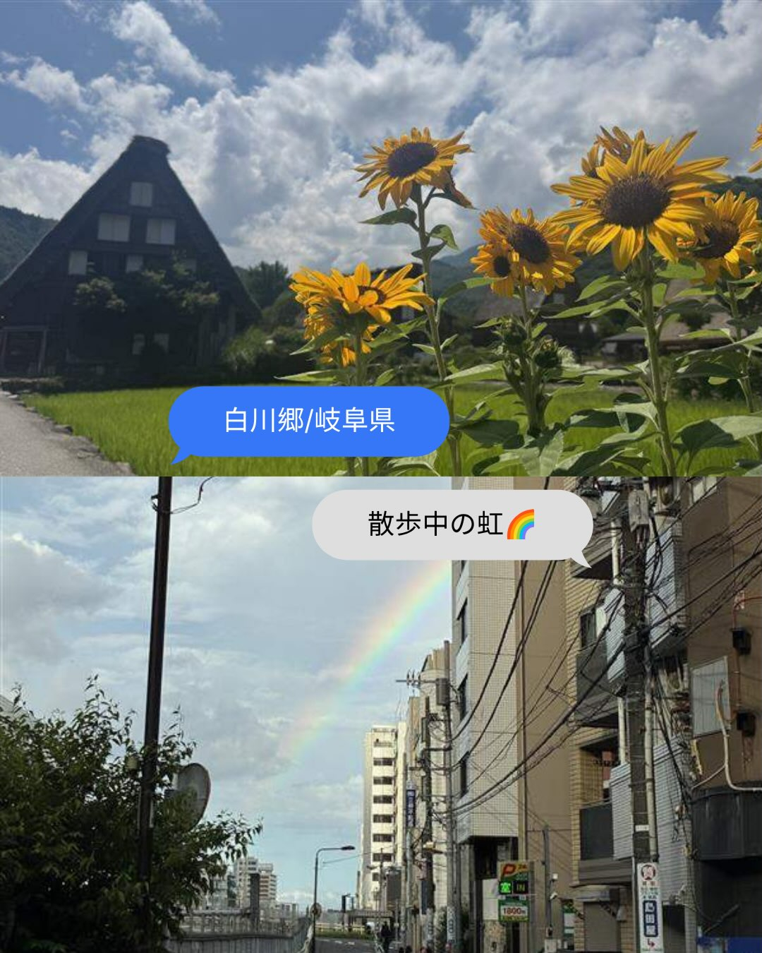 🌻📸みんなのお盆休みフォト📸🌻