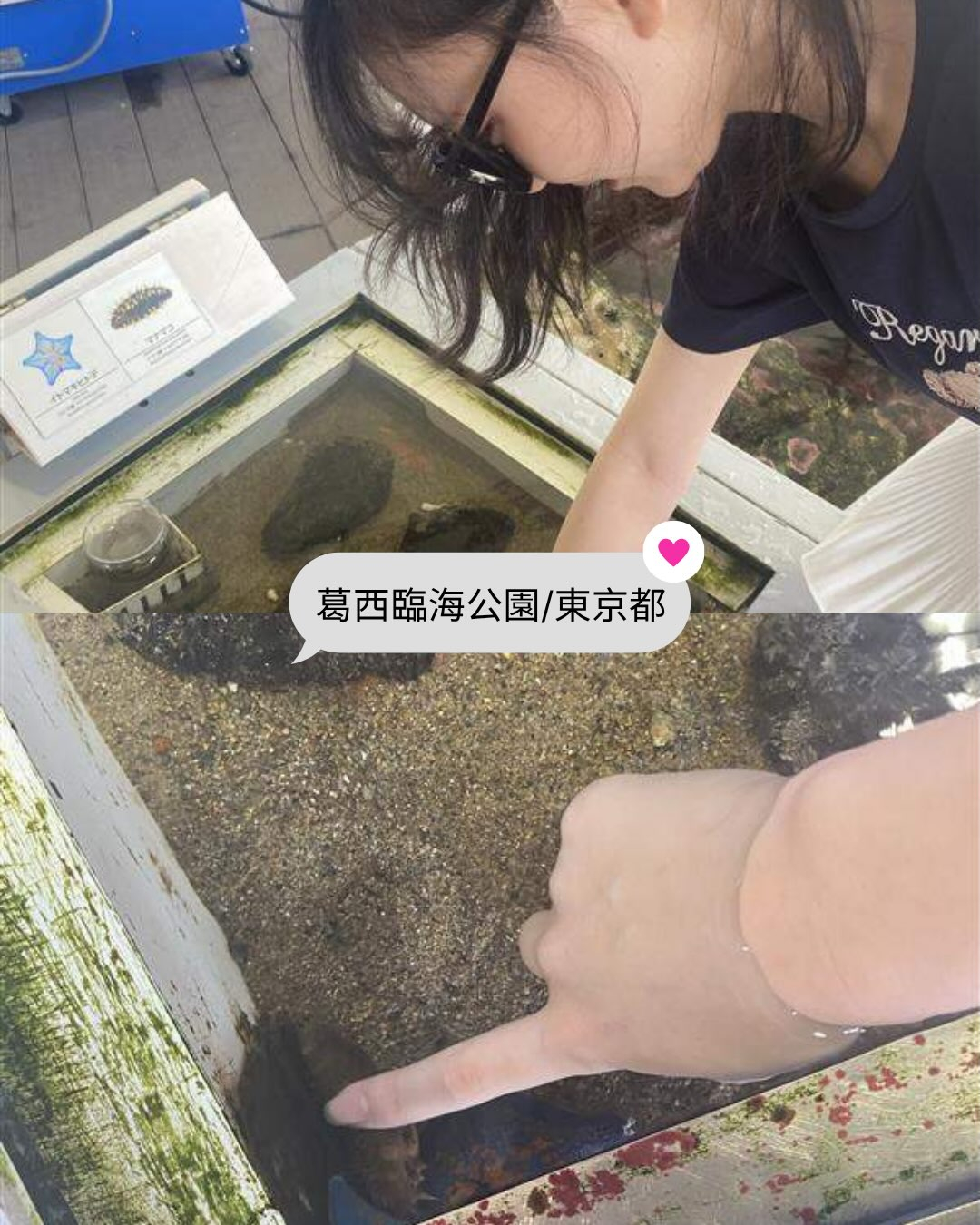 🌻📸みんなのお盆休みフォト📸🌻