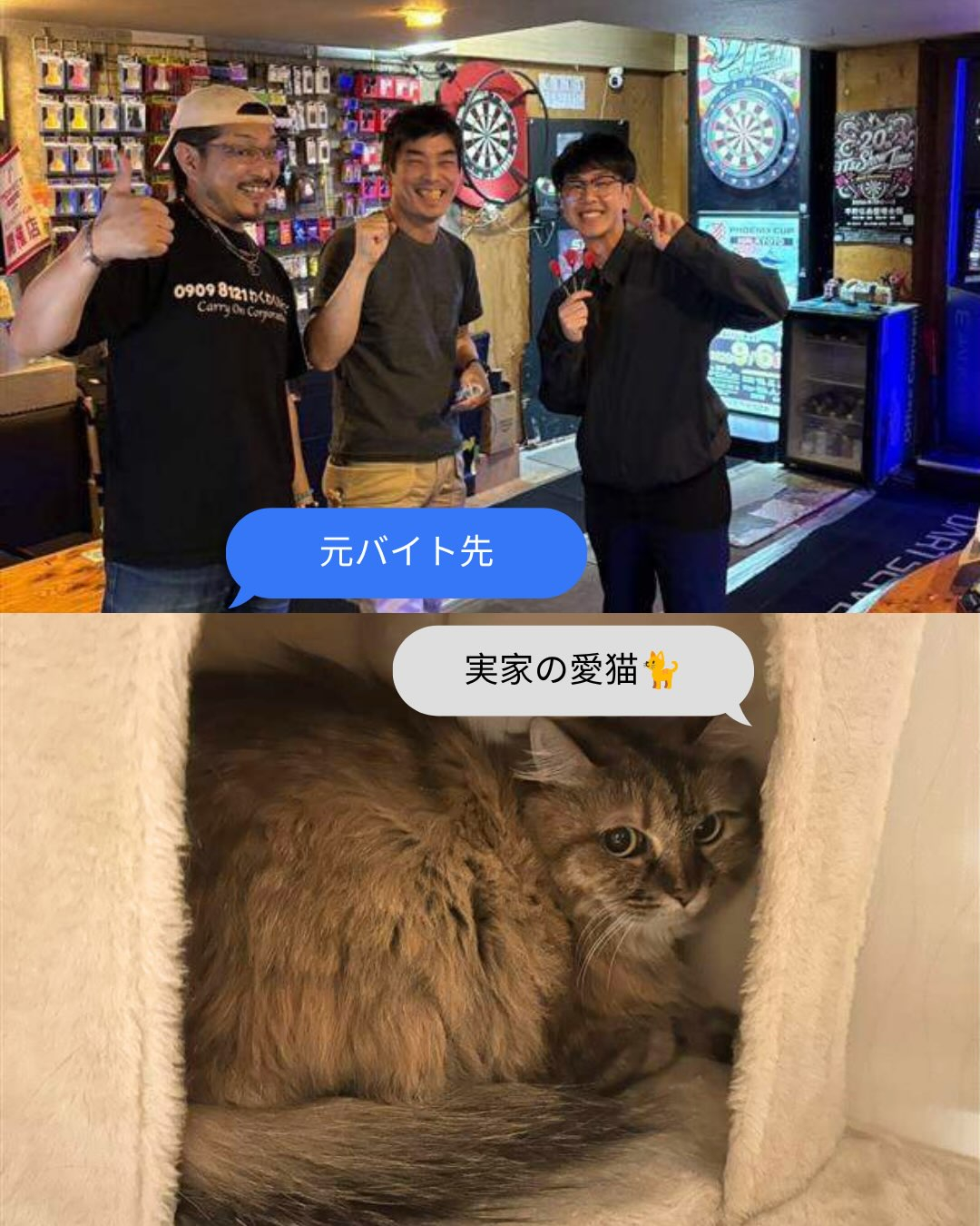 🌻📸みんなのお盆休みフォト📸🌻
